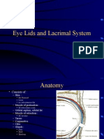 Eye Lid Anatomy and Lacrimal System Disorders