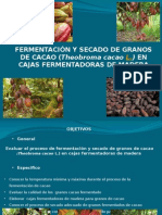 Fermentacion y Secado de Granos de Cacao en Cajas Fermentadoras