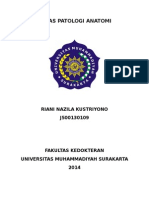 Tugas Patologi Anatomi: Riani Nazila Kustriyono J500130109