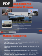 Procedimiento Ordinario Minero (Minería)