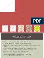 Sistem Indra - Mata Biologi Kelas XI 