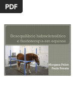Desequilibrio Hidroeletrolitico e Fluidoterapia Em Equinos (1) (2)
