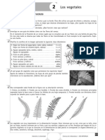 Los Vegetales (Actividades)