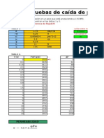 Presiones (PDD PBU)