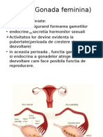 Ovarul (Gonada Feminina)