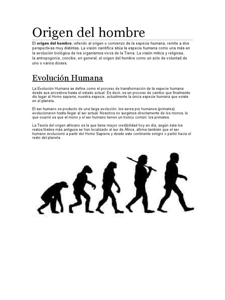Etapas de la Evolución del Hombre | PDF | Homo | Evolución humana