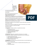 Apendicitis Aguda