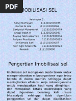 Imobilisasi Sel Sip Anggi