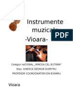 Instrumente Muzicale-Vioara