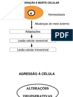 Aula DegeneraÃ§Ã£o_Morte Celular