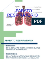 Aparato Respiratorio Coe - 2