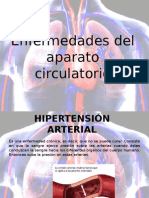 Enfermedadesaparatocirculatorioyexcretor 130215103625 Phpapp02