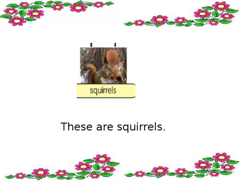 Squirrels | PDF
