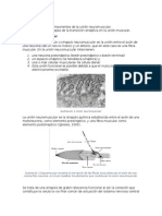 Union Neuromuscular y Conduccion Sianptica