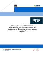 1- Pautas Para La I,FyES de PIP, Perfil