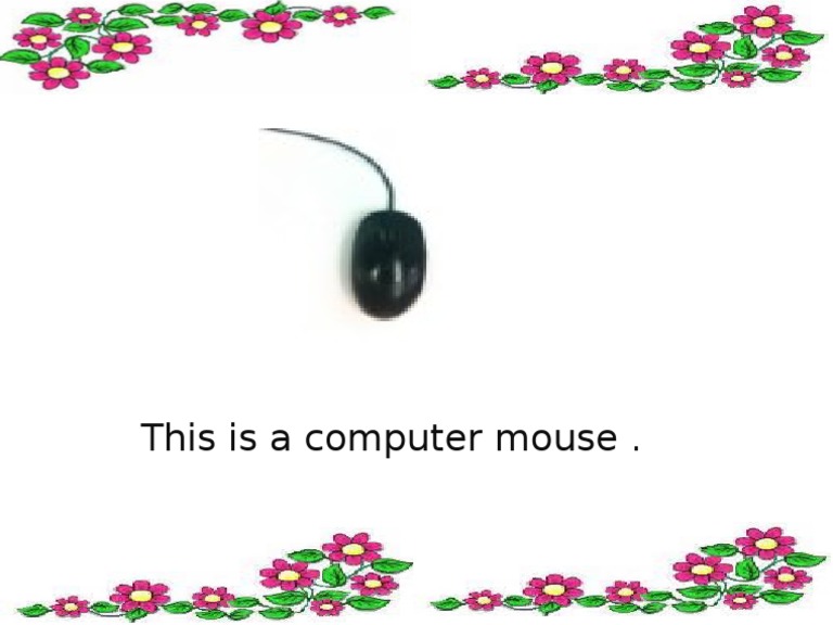 Essential Guide to Computer Mice | PDF