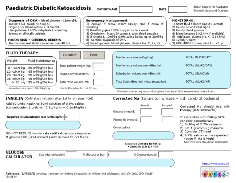 Dka Calculator | PDF
