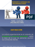 Cultura Organizacional