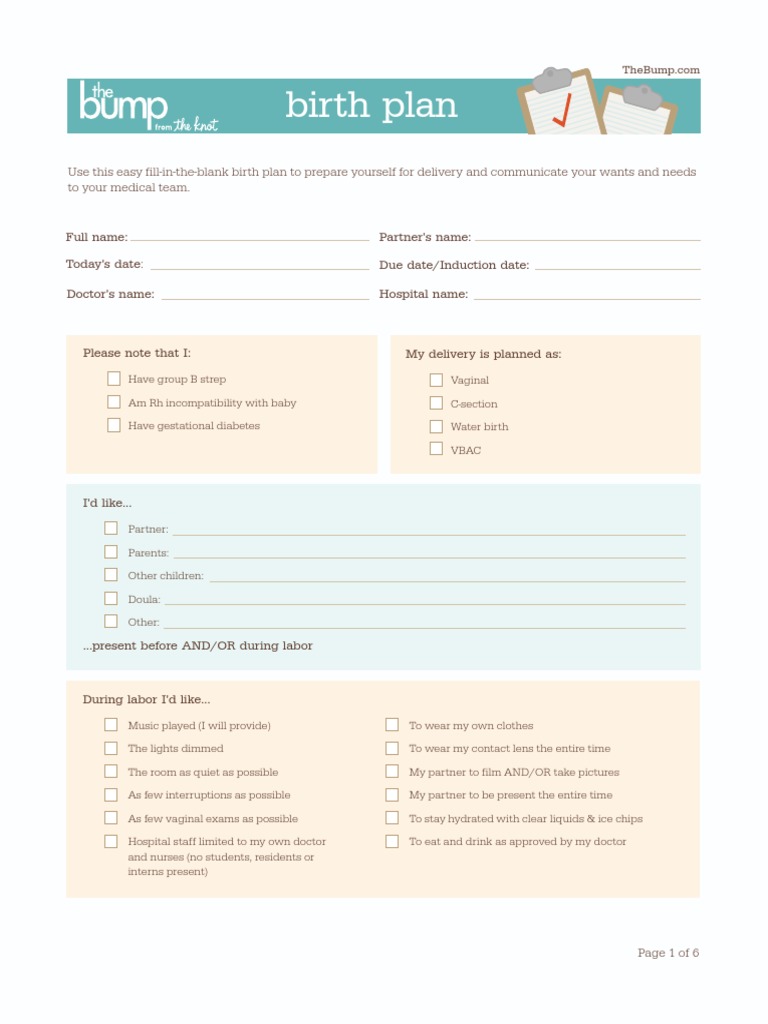 Birth Plan Form Printable - Printable Forms Free Online