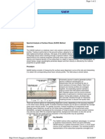 Sasw1 PDF