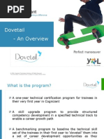 Dovetail 1.0 Guidelines PDF