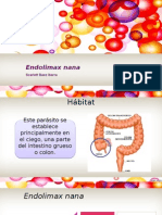 Endolimax nana parásito colon ciego