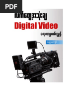 Download Guide to Applying Digital Video by heintinzaw8 SN26800373 doc pdf