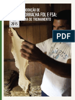 Produção de Borracha FDL e FSA