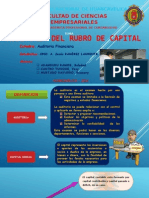 Auditoria de Capital