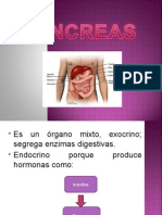 Pancreas