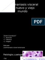 Leishmaniasis Viceral Del Nuevo y Viejo Mundo