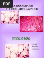 3 Tecido Adiposo Cartilaginoso