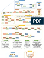 Resumen Glucolisis Ciclo de Krebs Pentosas Fosfato