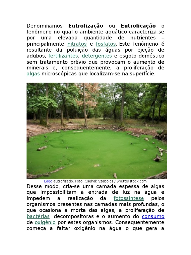 Eutrofização: Causas e Consequências | PDF | Eutrofização | Poluição da ...