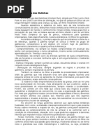 Relatório Fuga das Galinhas.pdf