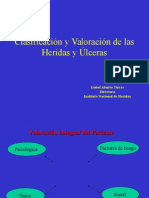 Clasificación y Valoración de Las Heridas y Úlceras