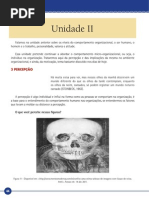 ADM Comportamento Humano Nas Organizacoes(80hs) Unidade II(1)