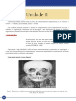 ADM Comportamento Humano Nas Organizacoes (80hs) Unidade II