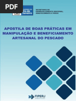 Apostila de Beneficiamento