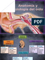 Anatomia Del Oido - Copia