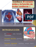 Musculo Cardiaco