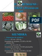 Cultivo de Cruciferas