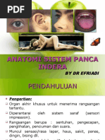 Download Anatomi Sistem Panca Indra by efriadi SN26807882 doc pdf