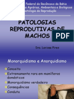 9 - Patologia de Macho