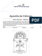 Apostila 5ªserie