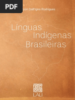 Linguas Dos Povos Indigenas