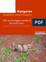 Snake Vs Kangaroo
