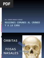 puntos-cefalometricos-1221190804349811-9