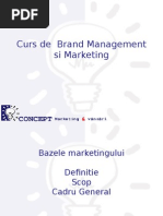 Curs de Brand Management 