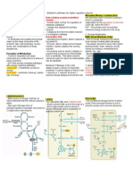 Into to Metabolism